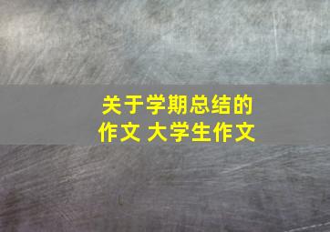 关于学期总结的作文 大学生作文